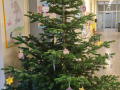 20231201_121417-scaled