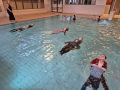 IMG_42CF692C5248-1