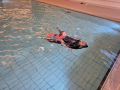 IMG_42CF692C5248-3